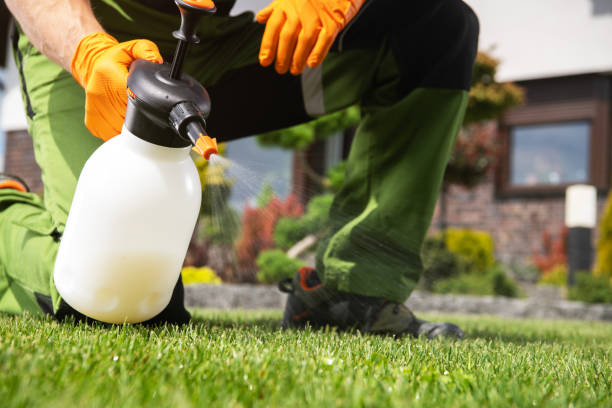 Best Emergency Pest Control  in Mango, FL