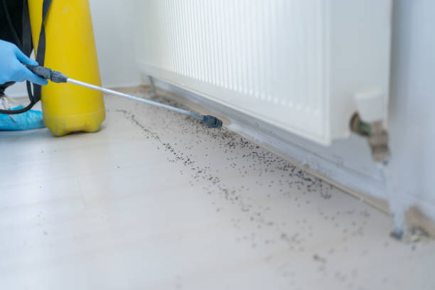 Pest Prevention Services in Mango, FL